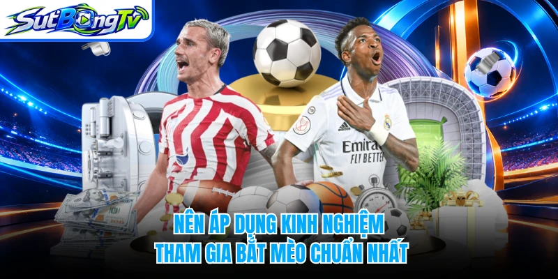Nên áp dụng kinh nghiệm tham gia bắt mèo chuẩn nhất