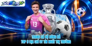 Trang Cá Độ Bóng Đá - Top 5 Địa Chỉ Uy Tín Nhất Thị Trường